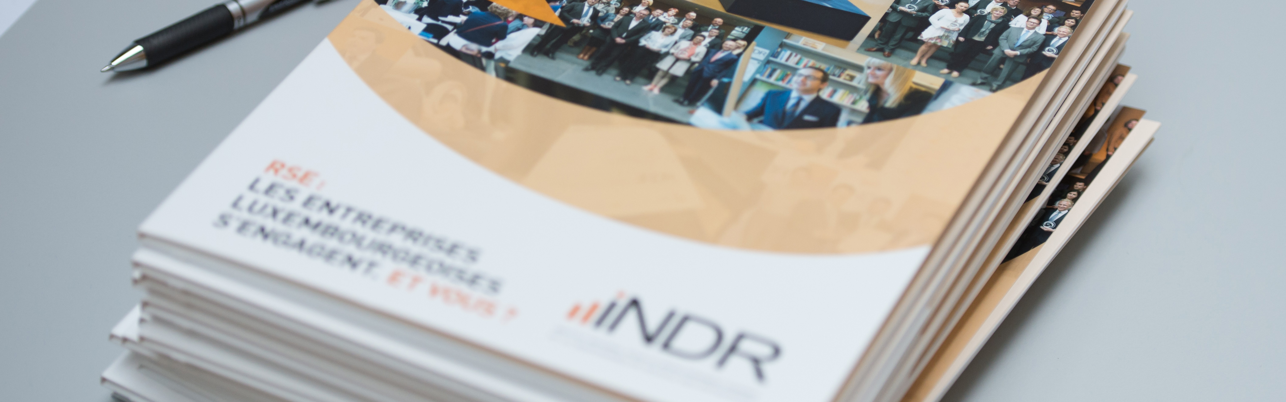 A pack of INDR documents