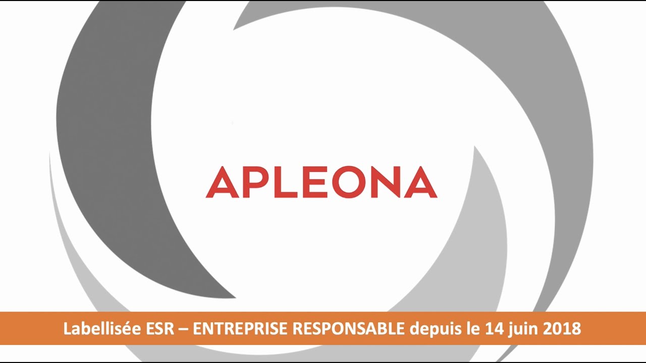 APLEONA HSG SECURITY AND SERVICES S.A.R.L. INDR